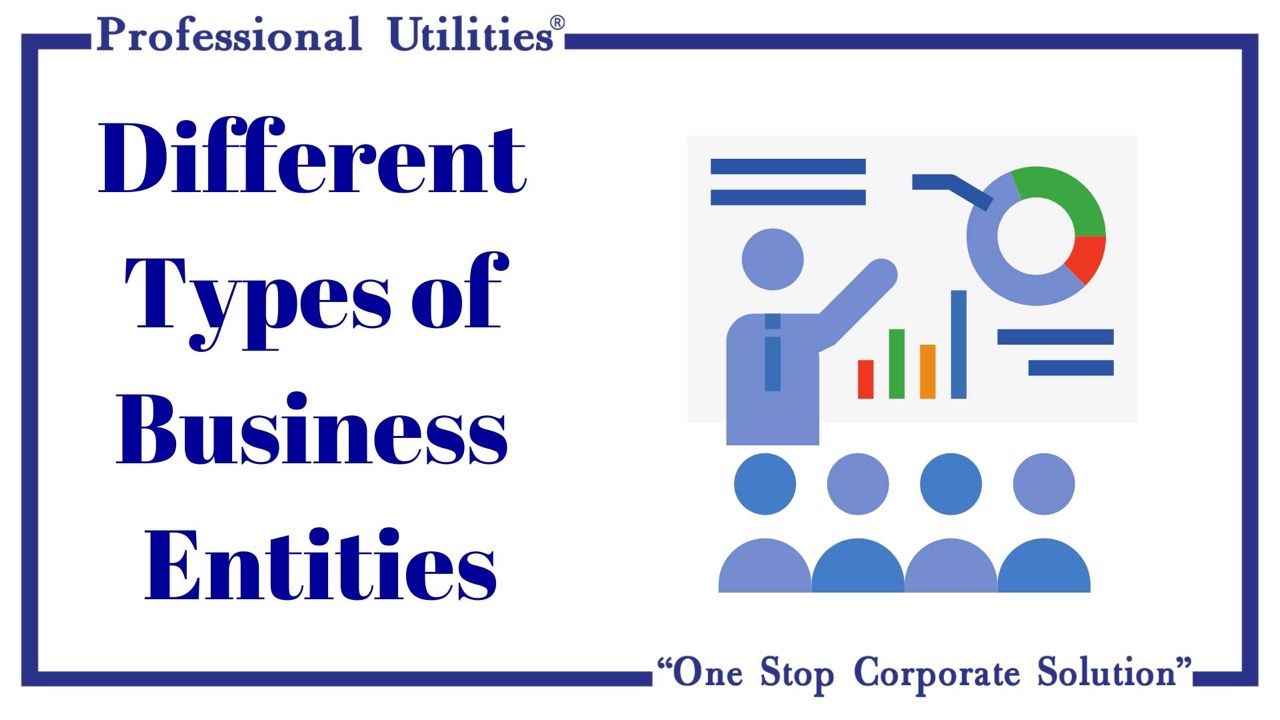 Business Entity Meaning: Types, Features & Importance